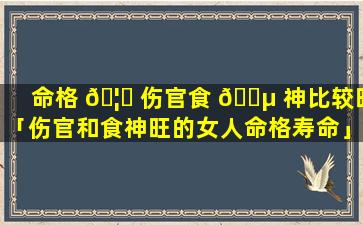 命格 🦟 伤官食 🐵 神比较旺「伤官和食神旺的女人命格寿命」